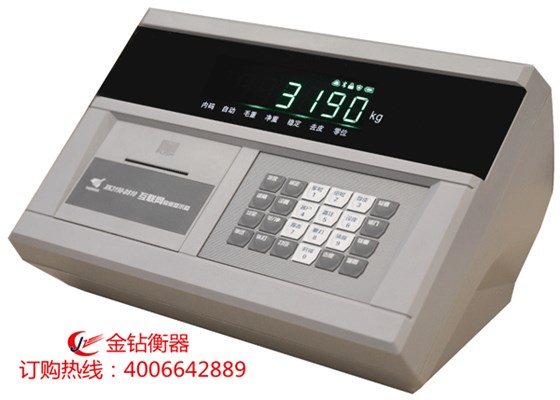 物聯(lián)網(wǎng)儀表XK3190-DS10