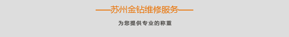 維修服務(wù)