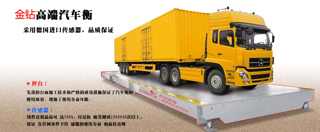 賽多利斯汽車衡
