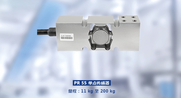 PR 55 單點(diǎn)傳感器